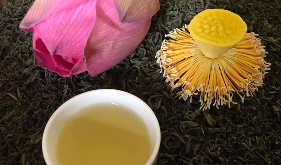 Trà shan tuyết ướp sen - Một thức uống tinh túy của văn hóa trà Việt Nam