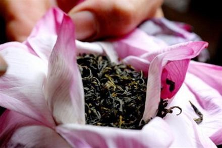 Trà shan tuyết ướp sen - Một thức uống tinh túy của văn hóa trà Việt Nam